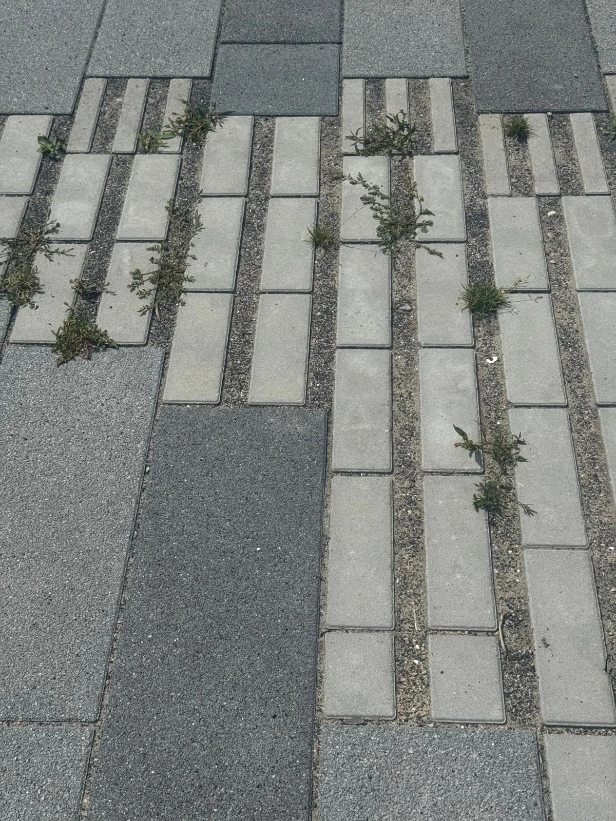 Wide view of basalt exterior paving installation